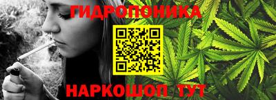 эйфоретик Бузулук