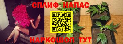 эйфоретик Бузулук