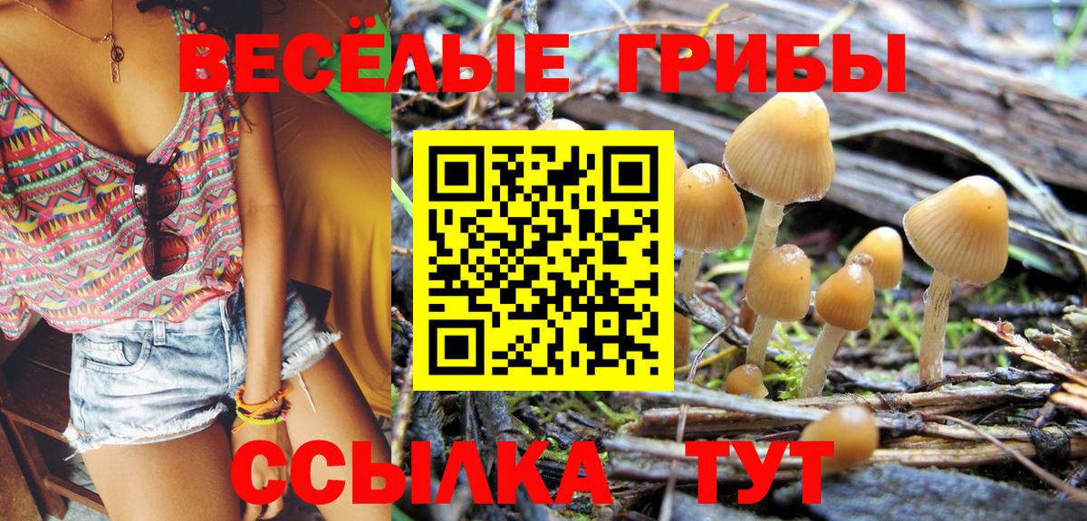 Похвистнево  Галлюциногенные грибы мицелий  Вход с VPN 