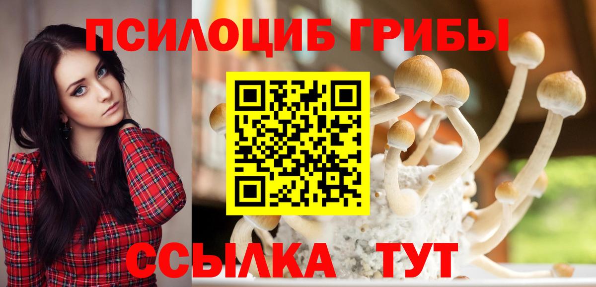 Галлюциногенные грибы Cubensis Похвистнево